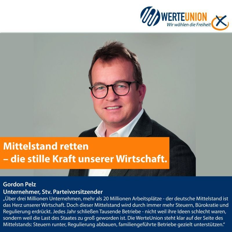 Mittelstand retten, die stille Kraft unserer Wirtschaft, Gordon Pelz